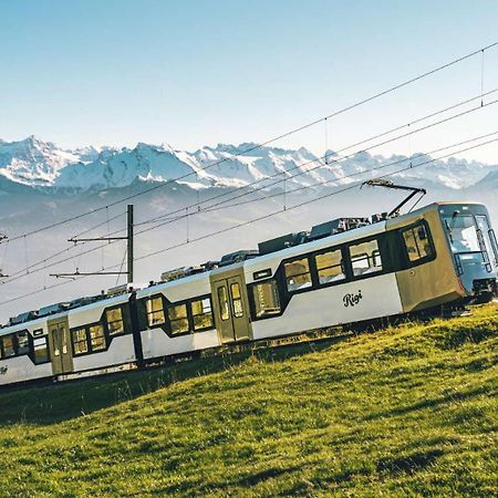 Cozy Boutique Apartment At Mt. Rigi Goldau エクステリア 写真